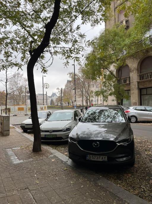 11# Sunflower Cozy Apartment Budapest Eksteriør billede